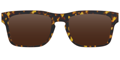 The Polarized Tortoise Sun Top - Front Top Thumbnail - Pair Eyewear