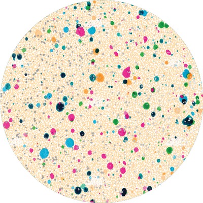 The Rainbow Disco