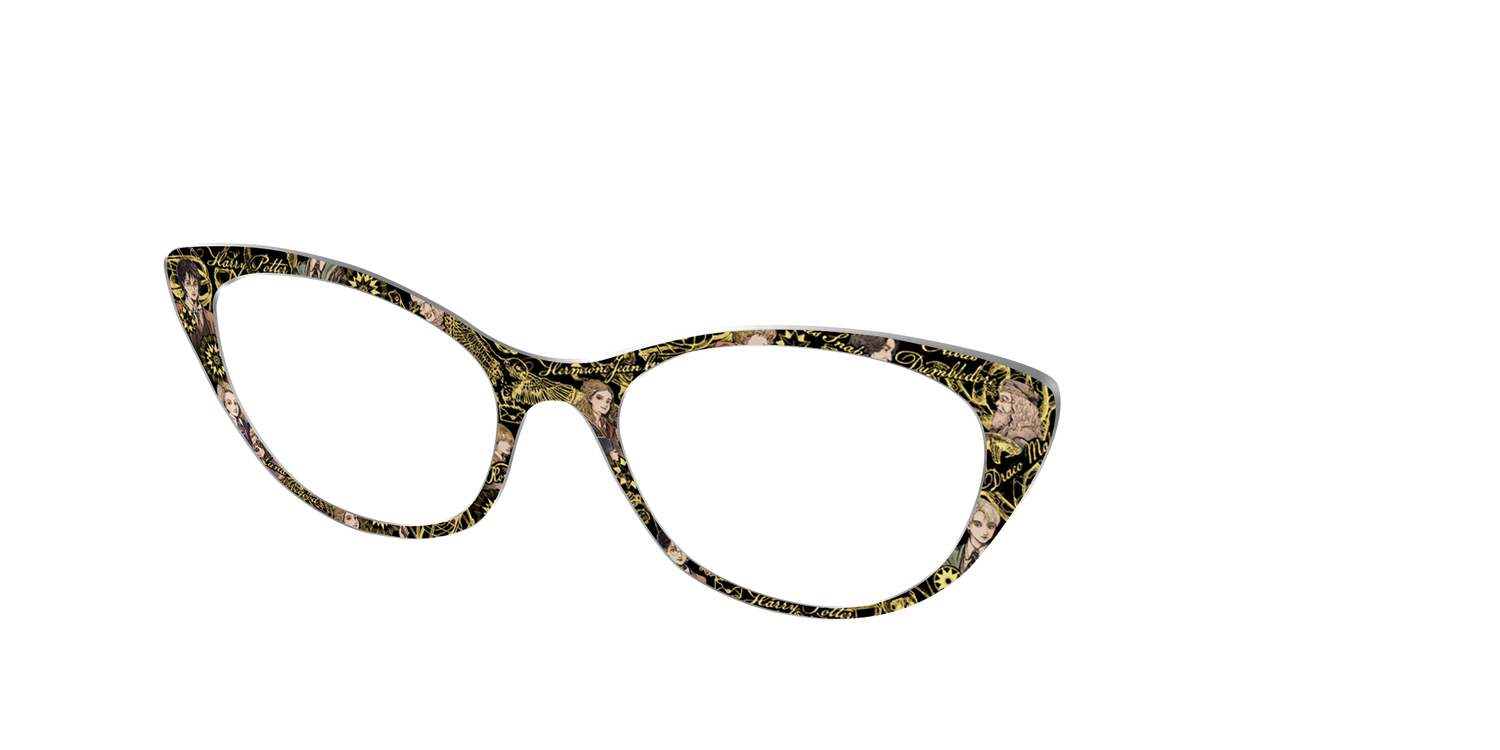 The Harry Potter Toile - Angle Top Image - Pair Eyewear