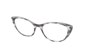 The Silver Fractals - Angle Top Thumbnail - Pair Eyewear