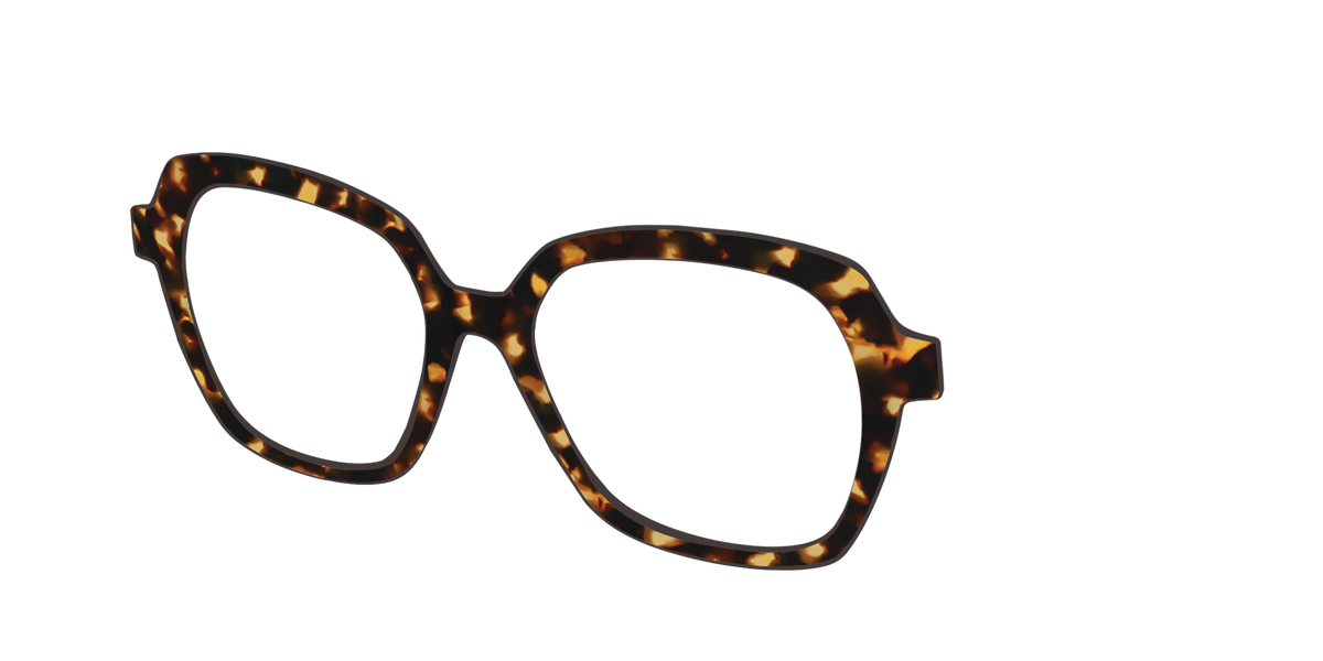 The Tortoise - Angle Top Image - Pair Eyewear