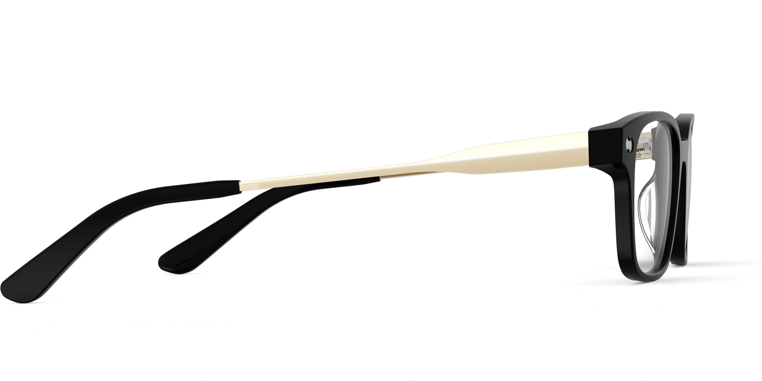 The Finley - Black Acetate Gold Metal - Carousel3 - Pair Eyewear
