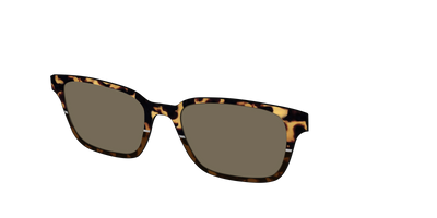 The Polarized Chic Tortoise Split Sun Top - Angle Top Thumbnail - Pair Eyewear
