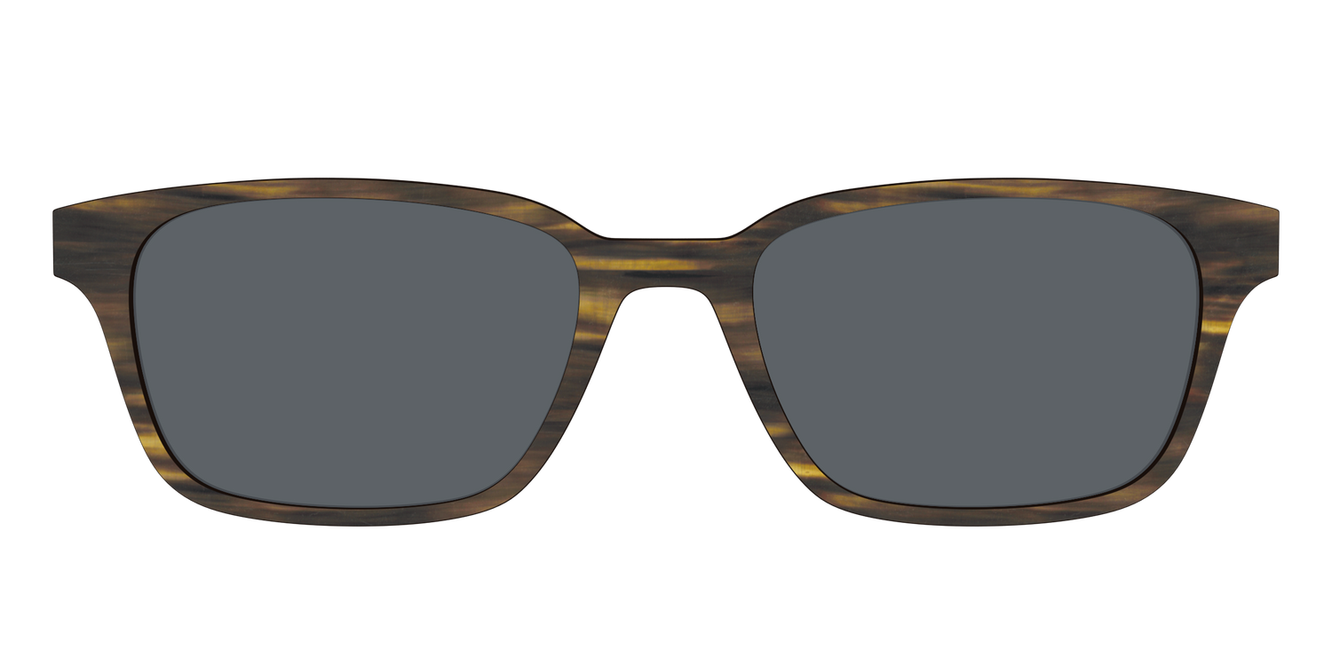 The Polarized Horn Sun Top - Front Top Image - Pair Eyewear