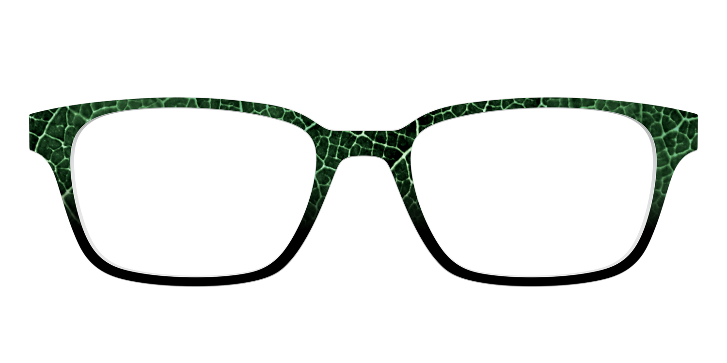 The Leafy Linework - Front Top Image - Pair Eyewear