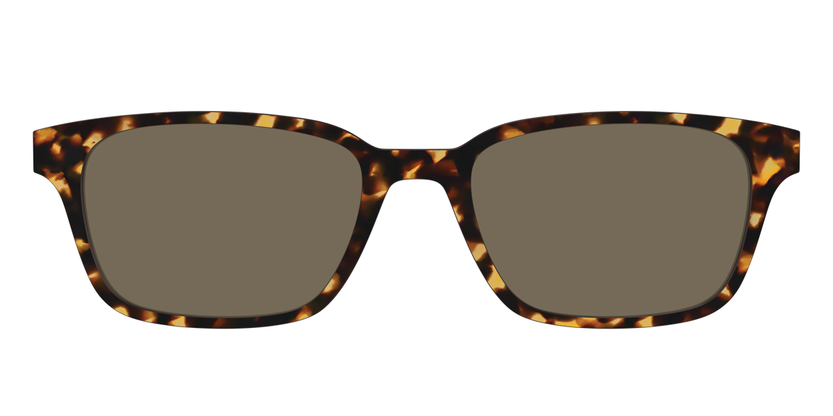 The Non-Polarized Tortoise Sun Top - Front Top Image - Pair Eyewear