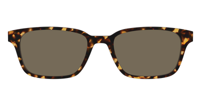The Non-Polarized Tortoise Sun Top - Front Top Thumbnail - Pair Eyewear