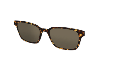 The Non-Polarized Tortoise Sun Top - Angle Top Thumbnail - Pair Eyewear