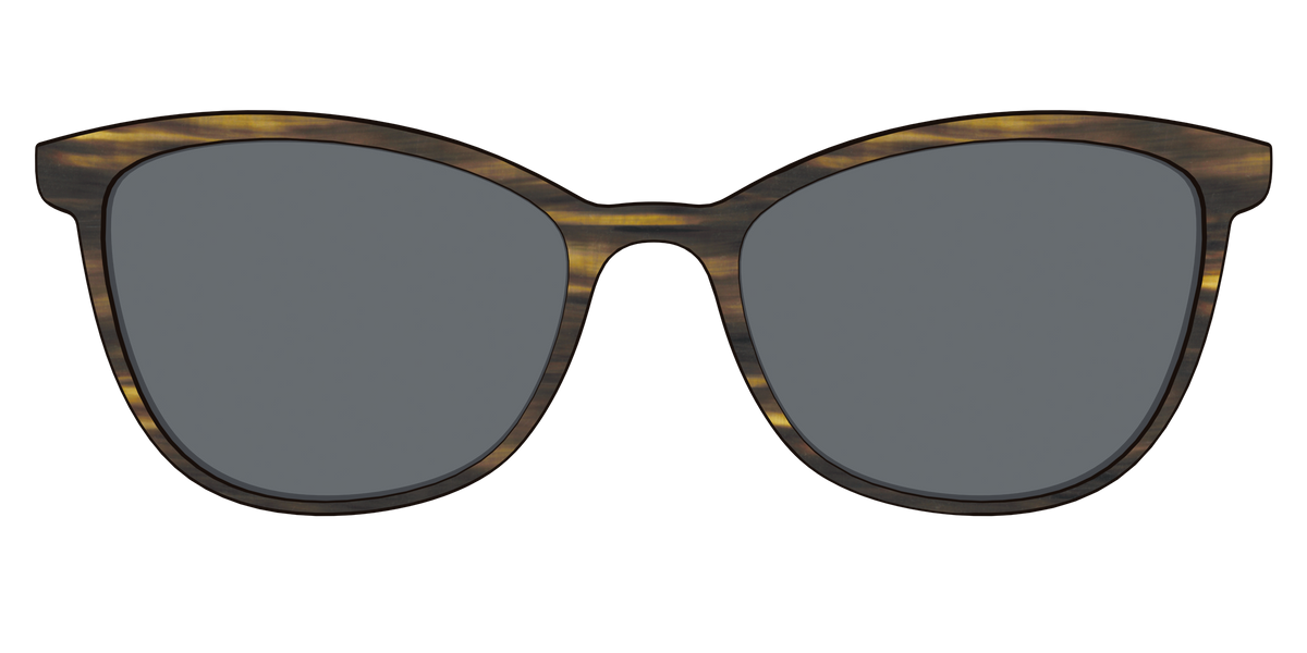 The Polarized Horn Sun Top - Front Top Image - Pair Eyewear