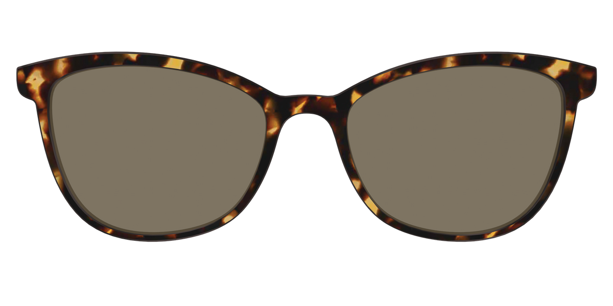 The Non-Polarized Tortoise Sun Top - Front Top Image - Pair Eyewear