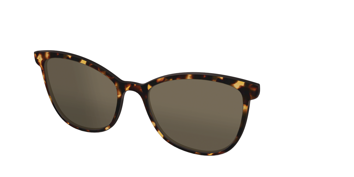 The Non-Polarized Tortoise Sun Top - Angle Top Image - Pair Eyewear