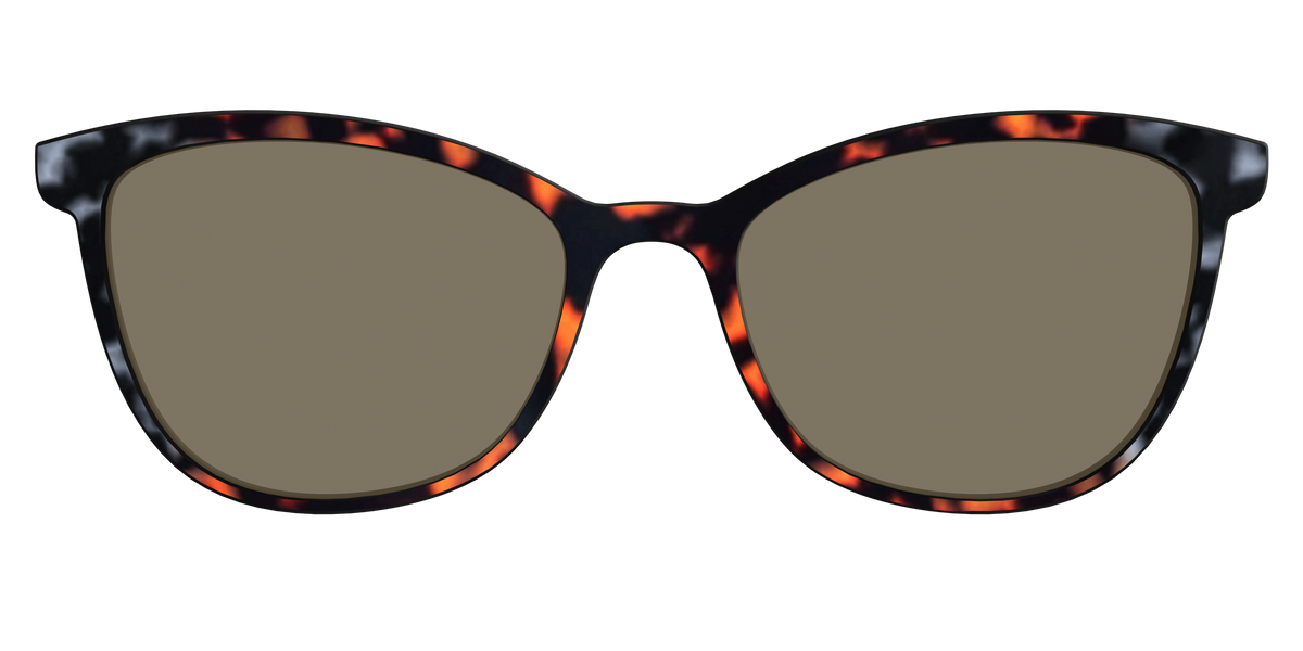 The Polarized Gray & Amber Tortoise Sun Top - Front Top Image - Pair Eyewear
