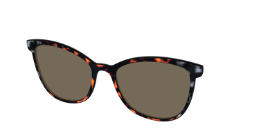 The Polarized Gray & Amber Tortoise Sun Top - Angle Top Thumbnail - Pair Eyewear