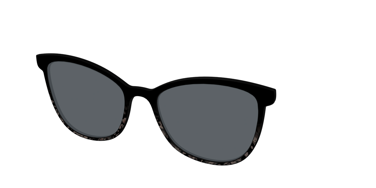 The Polarized Shaded Tortoise Sun Top - Angle Top Image - Pair Eyewear