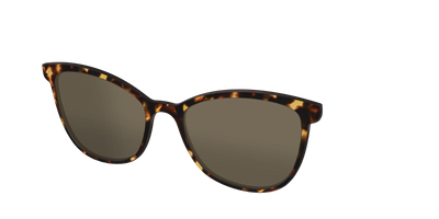 The Polarized Tortoise Sun Top - Angle Top Thumbnail - Pair Eyewear