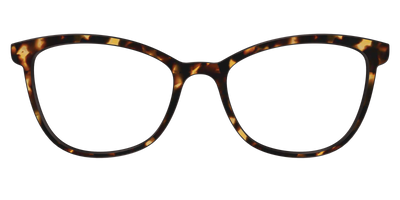 The Tortoise - Front Top Thumbnail - Pair Eyewear
