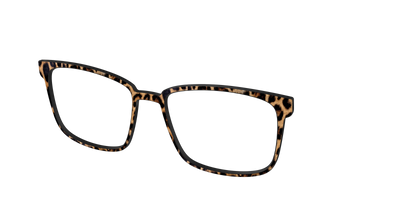 The Cheetah Spots - Angle Top Thumbnail - Pair Eyewear