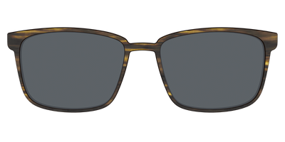 The Polarized Horn Sun Top - Front Top Thumbnail - Pair Eyewear