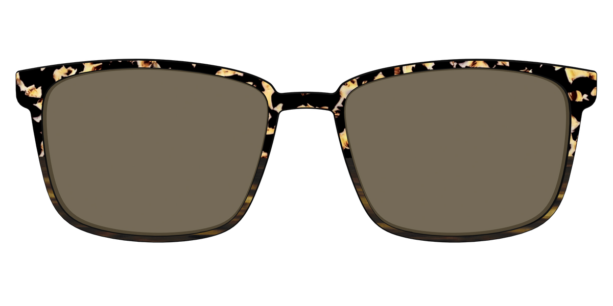 The Polarized Caramel Tortoise Horn Split Sun Top - Front Top Image - Pair Eyewear