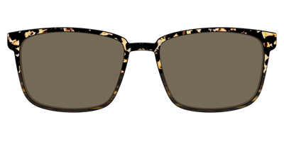The Polarized Caramel Tortoise Horn Split Sun Top - Front Top Thumbnail - Pair Eyewear
