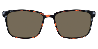 The Polarized Gray & Amber Tortoise Sun Top - Front Top Thumbnail - Pair Eyewear