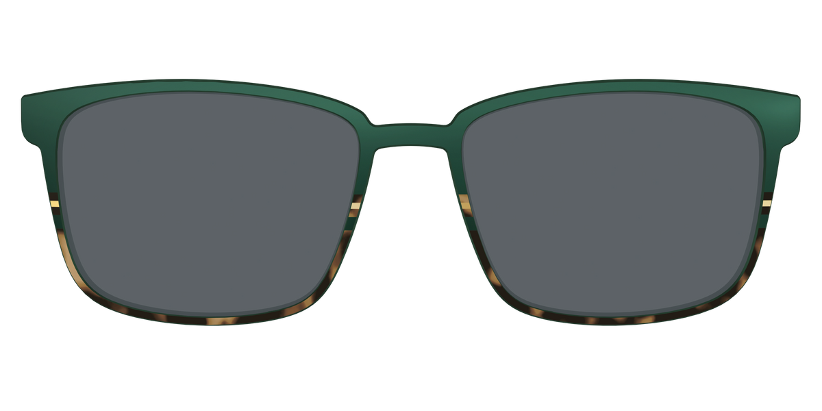The Polarized Spruce Tortoise Sun Top - Front Top Image - Pair Eyewear