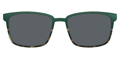 The Polarized Spruce Tortoise Sun Top - Front Top Thumbnail - Pair Eyewear