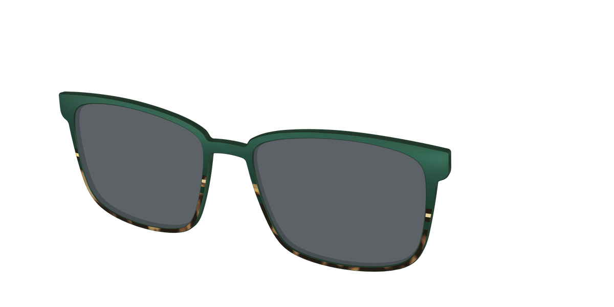 The Polarized Spruce Tortoise Sun Top - Angle Top Image - Pair Eyewear