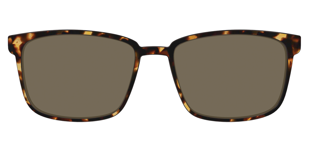 The Polarized Tortoise Sun Top - Front Top Image - Pair Eyewear