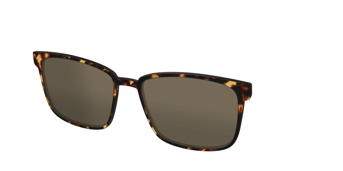 The Polarized Tortoise Sun Top - Angle Top Image - Pair Eyewear