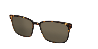 The Polarized Tortoise Sun Top - Angle Top Thumbnail - Pair Eyewear