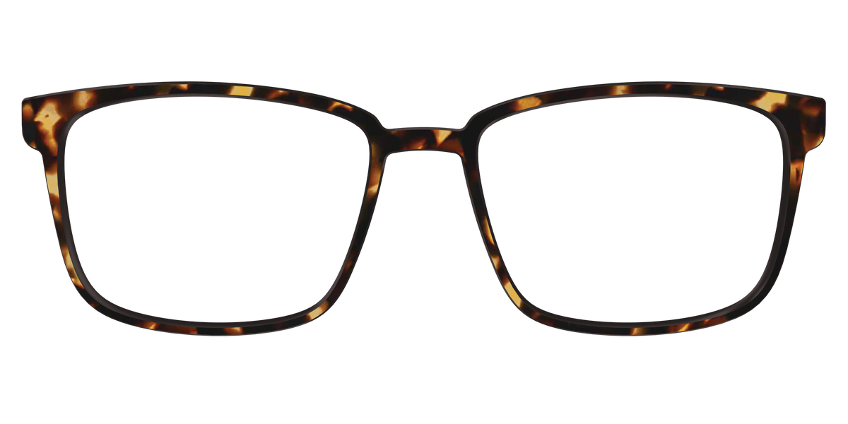 The Tortoise - Front Top Image - Pair Eyewear