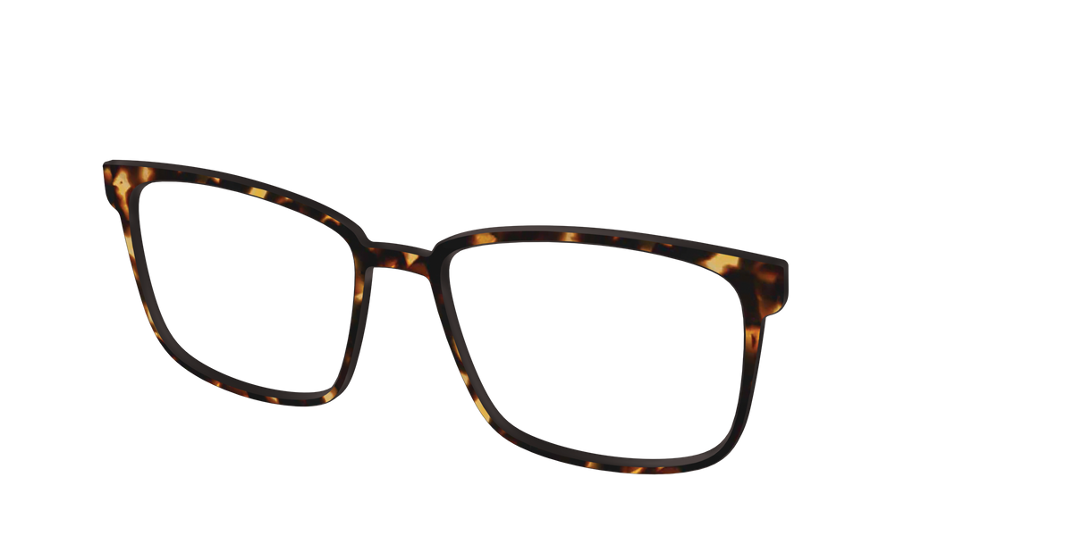 The Tortoise - Angle Top Image - Pair Eyewear