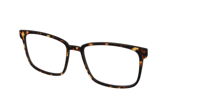 The Tortoise - Angle Top Thumbnail - Pair Eyewear