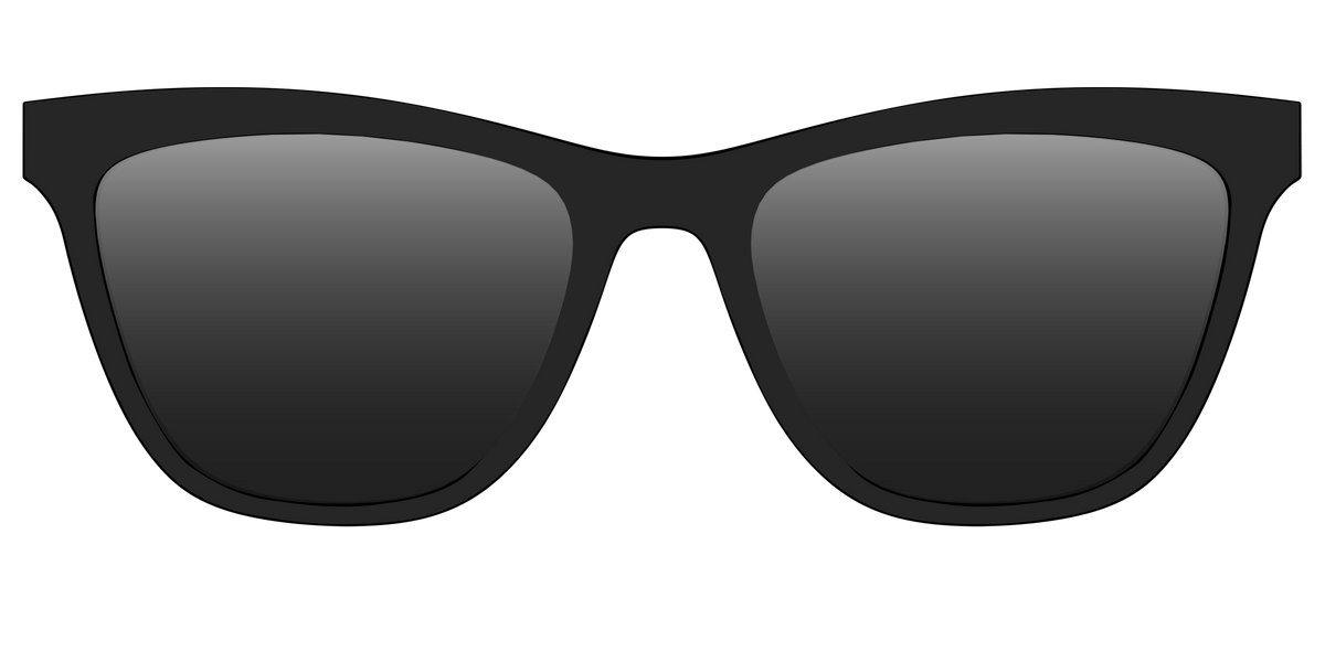 The Polarized Black Sun Top - Front Top Image - Pair Eyewear