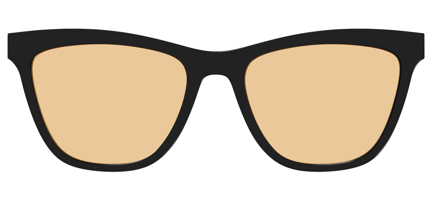 The Black With Umber Brown Lens - Front Top Image - Pair Eyewear
