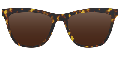 The Polarized Tortoise Sun Top - Front Top Thumbnail - Pair Eyewear