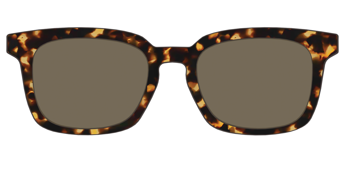 The Non-Polarized Tortoise Sun Top - Front Top Image - Pair Eyewear