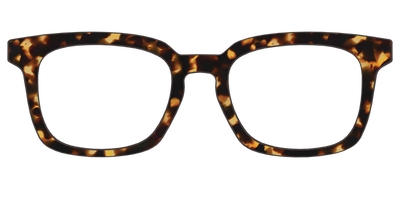 The Tortoise - Front Top Thumbnail - Pair Eyewear
