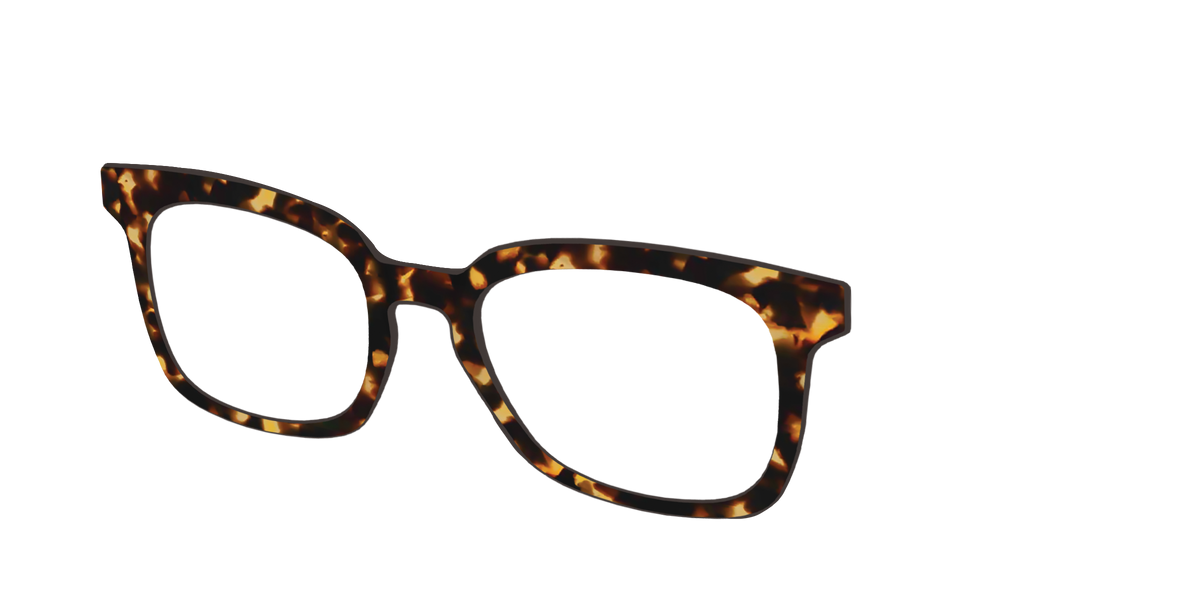 The Tortoise - Angle Top Image - Pair Eyewear