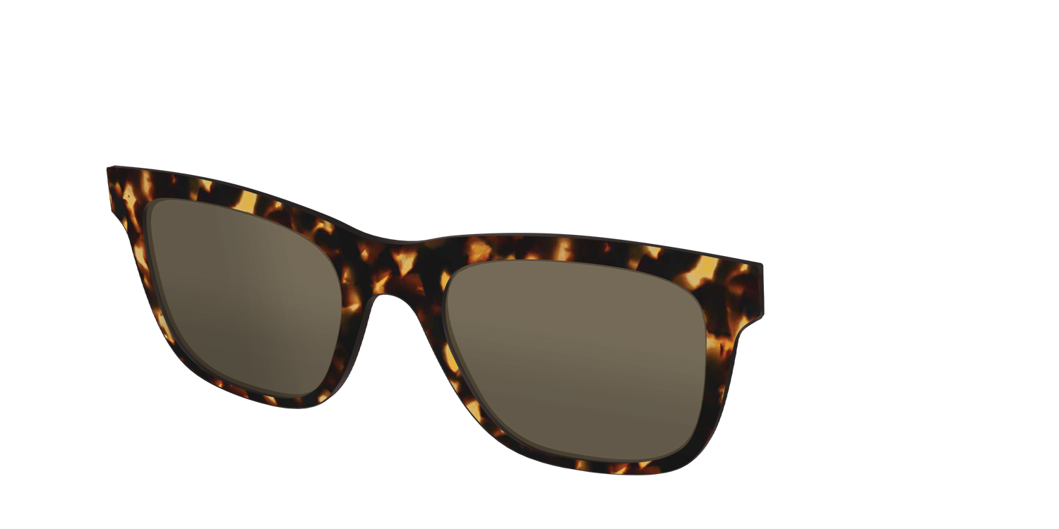 The Non-Polarized Tortoise Sun Top - Angle Top Image - Pair Eyewear