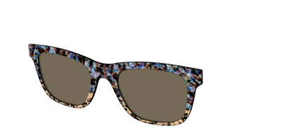 The Polarized Oasis Tortoise Split Sun Top - Angle Top Thumbnail - Pair Eyewear