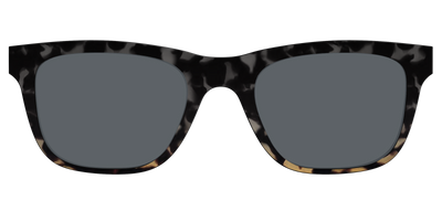 The Polarized Shadow Tortoise Sun Top - Front Top Thumbnail - Pair Eyewear