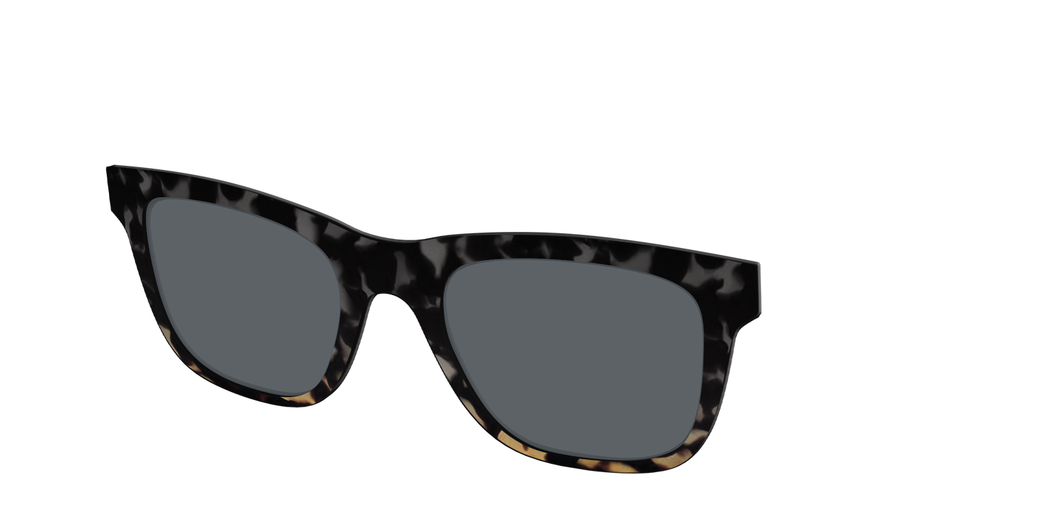 The Polarized Shadow Tortoise Sun Top - Angle Top Image - Pair Eyewear
