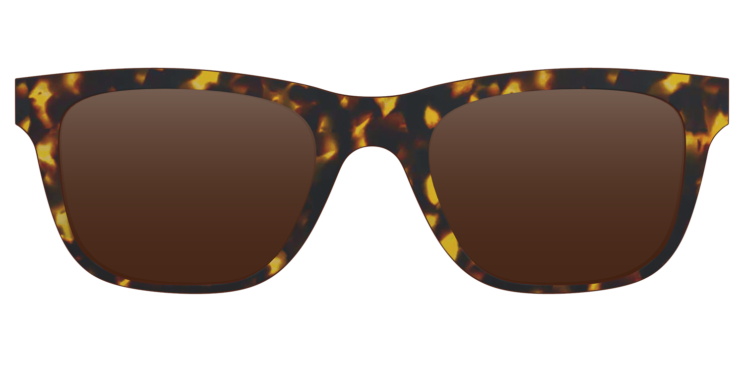The Polarized Tortoise Sun Top - Front Top Image - Pair Eyewear