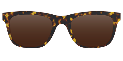 The Polarized Tortoise Sun Top - Front Top Thumbnail - Pair Eyewear