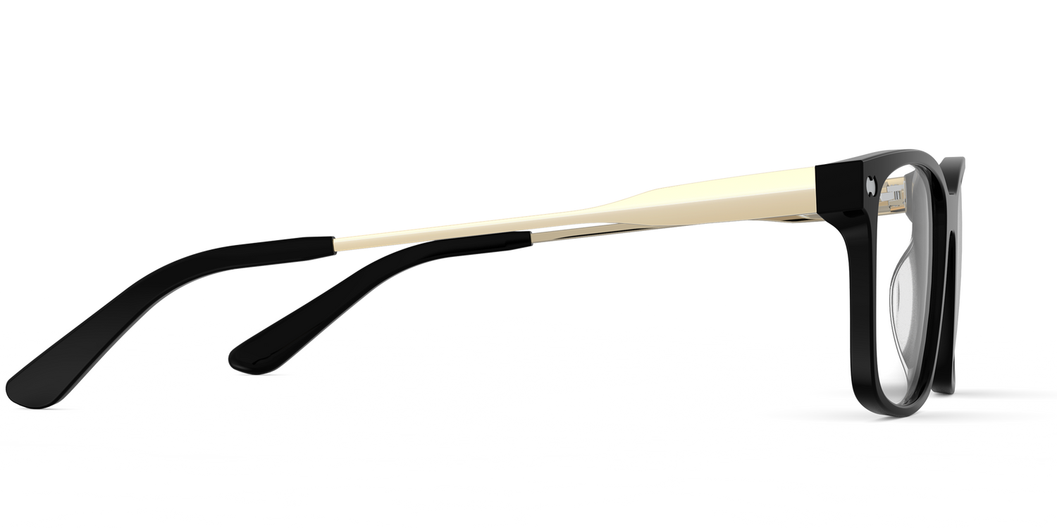 The Kirby - Black Acetate Gold Metal - Carousel3 - Pair Eyewear