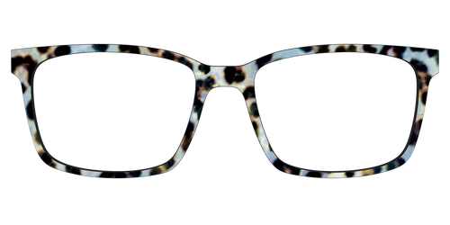 The Earl Grey Tortoise - Kirby Top - Pair Eyewear