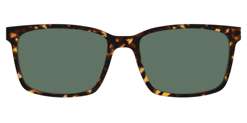 The Non-Polarized Green Tortoise Sun Top - Kirby Top - Pair Eyewear
