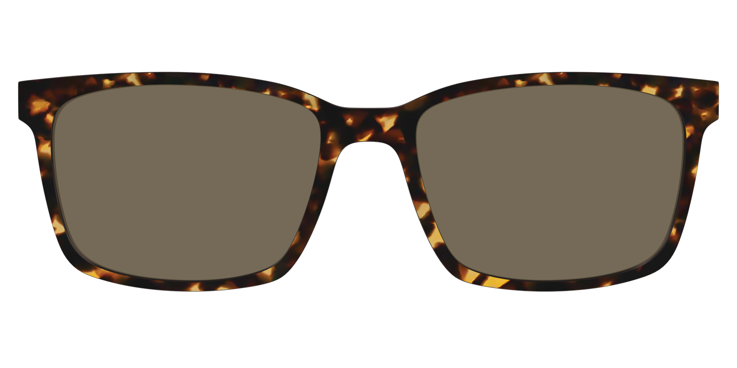 The Non-Polarized Tortoise Sun Top - Lifestyle Kirby Top Image - Pair Eyewear
